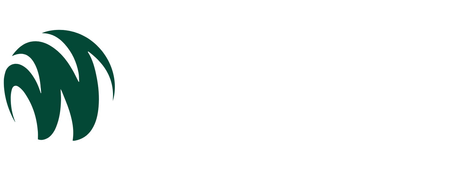 wapiverse logo